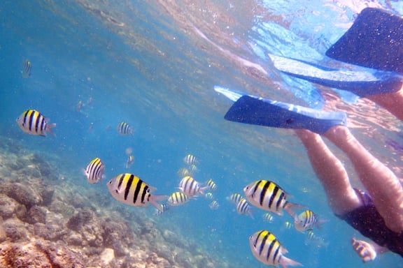 SNORKELING À OAHU