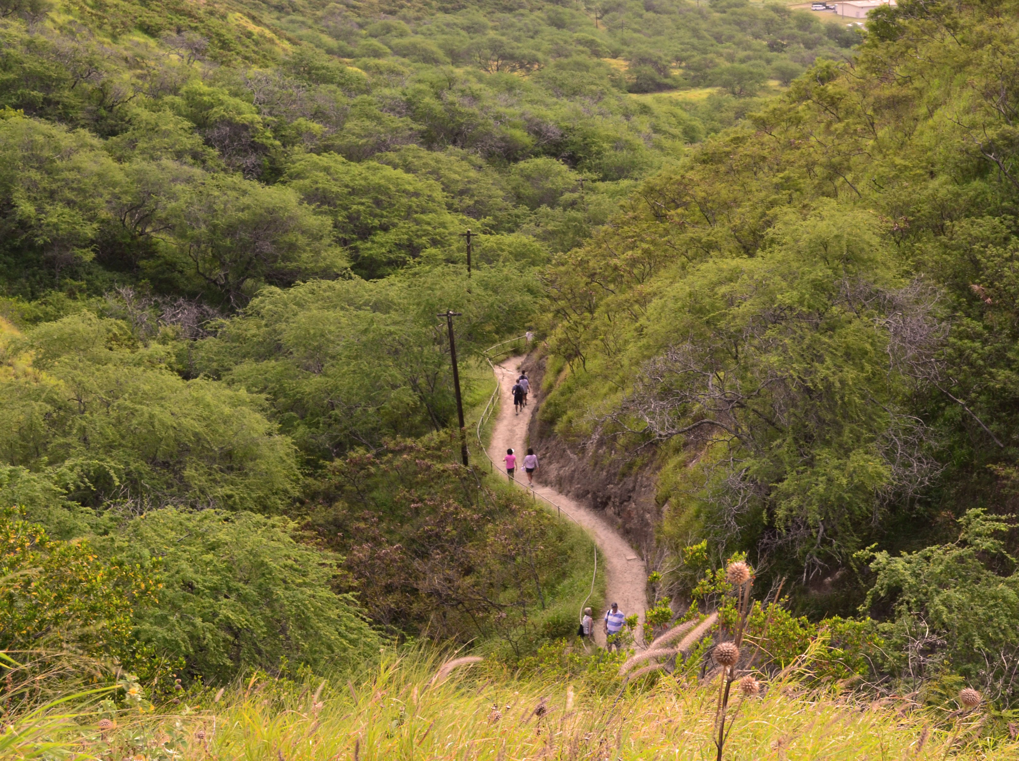 Sentier menant au sommet de Diamond Head